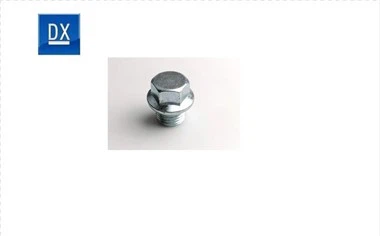 Plwg Draen Olew DIN910