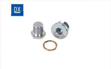 Plygiwch sgriw gyda gasged copr